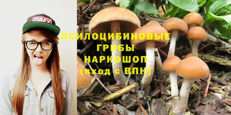 Галлюциногенные грибы Cubensis  Армянск 